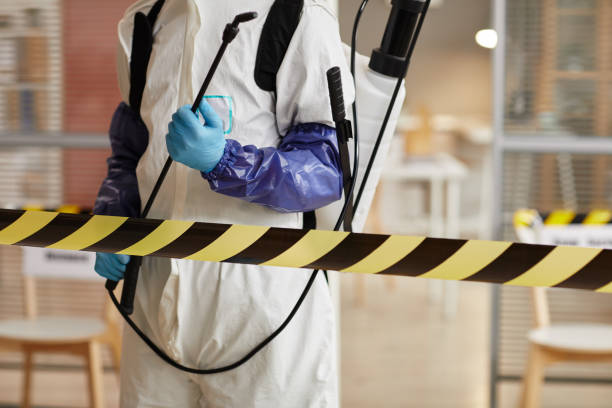 Professional Hoarding Cleanup technician working in Phelan, CA